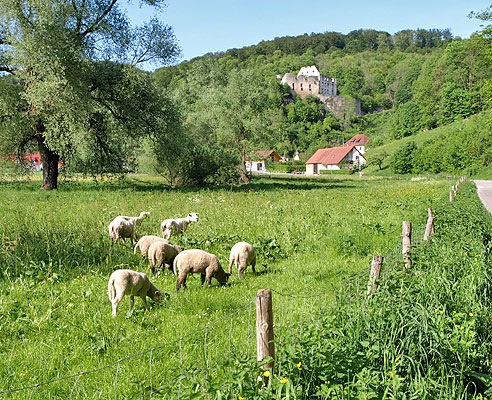 Ruine der Schülzburg