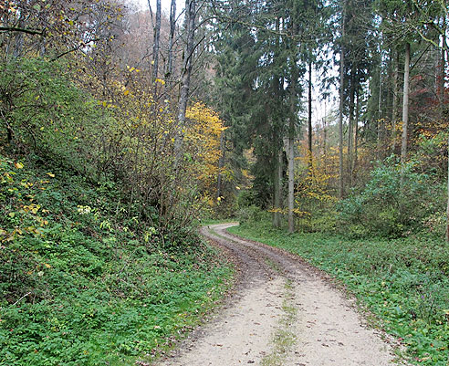 Sch&ouml;ner Waldweg hinter Hayingen