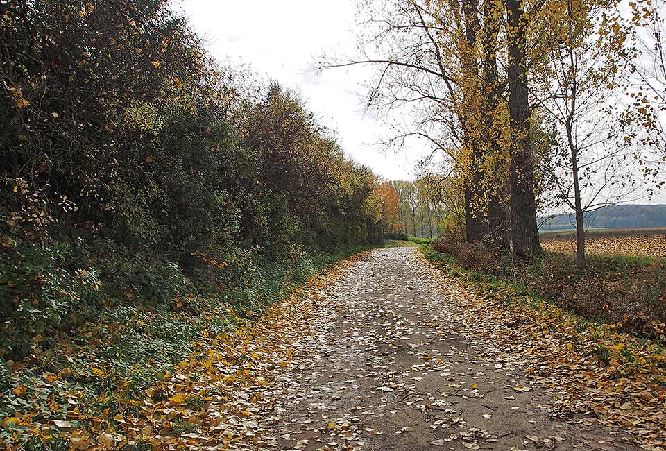 Bergauf in die Hügel