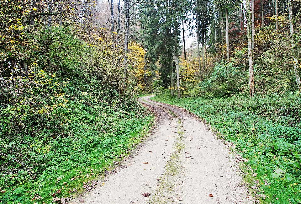 Schöner Waldweg hinter Hayingen