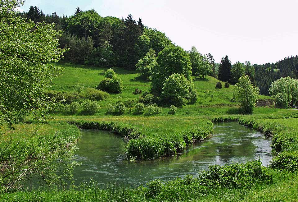 Mäanderartige Lauter