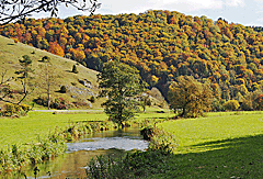 Die Lauter