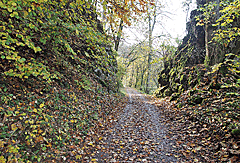 Felsen am Weg