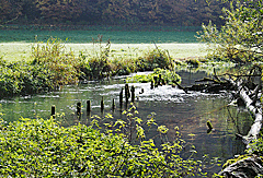 Fischreiche Lauter
