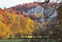 Gemsfels