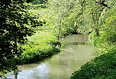 Die Lauter