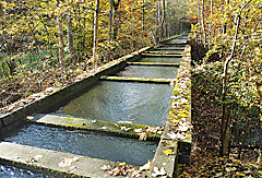 Lauterviadukt