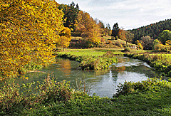 Mäandernde Lauter
