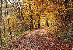Schöne Naturwege