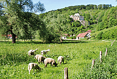 Ruine der Schülzburg
