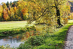 Schöner Blick