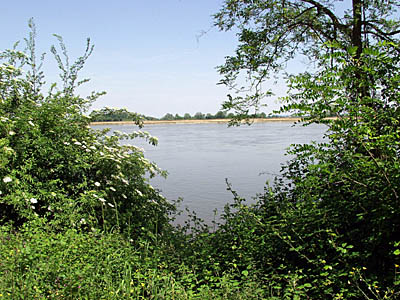 Blick auf die Loire