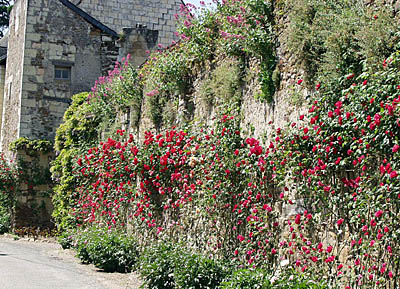 Rosenbewachsenes St-Maur