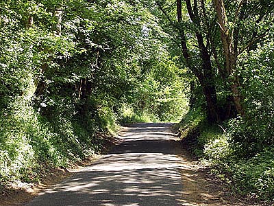 Schöne Laubwaldtour