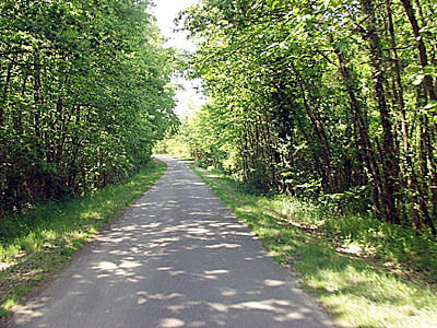 Durch die W&auml;lder