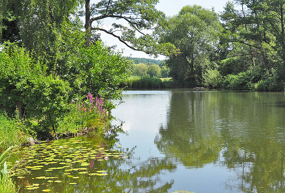 Alterlanger See Alterlanger See
