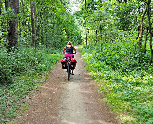 Waldweg nach Erlach