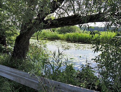 Weiher im Regnitztal