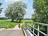 Regnitzbrücke