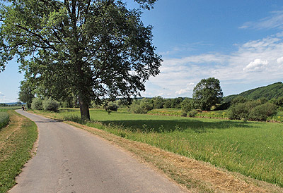 Schöner Radweg zum Main