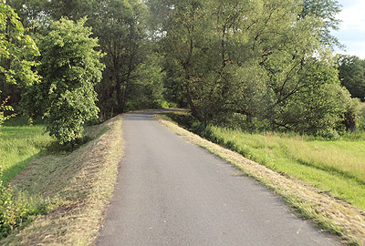 Radweg am Main