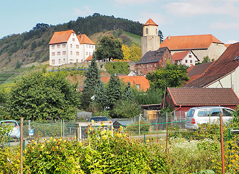 Radweg am Main