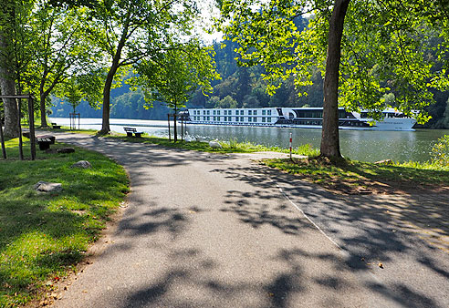 Radweg am Main