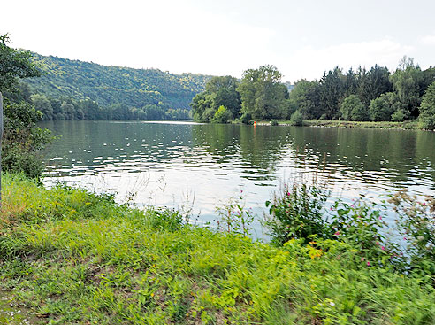 Mainschleife zwischen Urphar und Wertheim