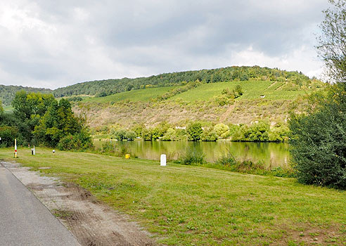 Weinberge in Südlage