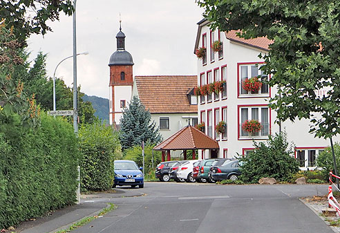 Weinberge in Südlage