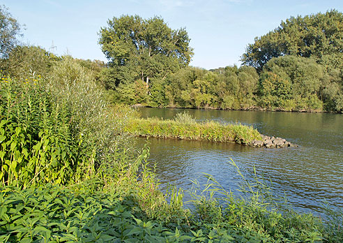 Herrliche Mainlandschaft