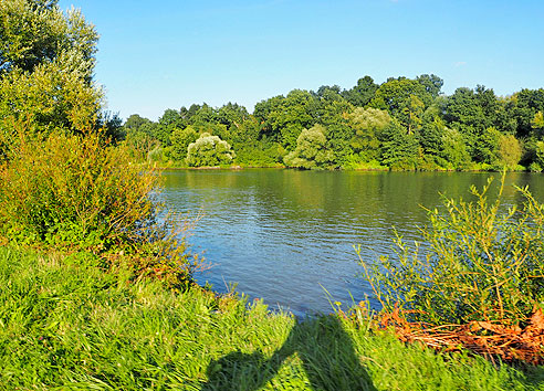 Häuser in Niedernberg