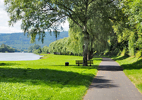 Durch die Mainauen bei Stadtprozelten