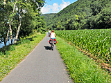 Radweg am Mainufer