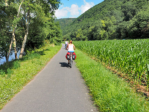 Radweg am Mainufer
