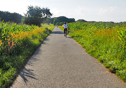 Häuser in Niedernberg