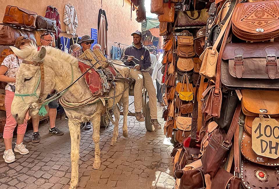 Radtour im Gargano von Mattinata nach Vietse