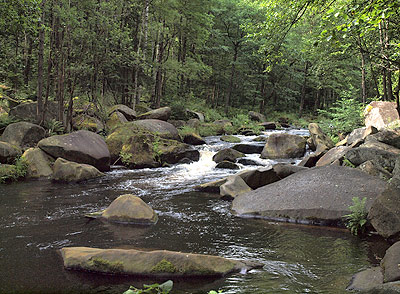 Felsen in der Moldau