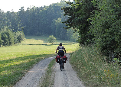 Bergauf am Waldrand