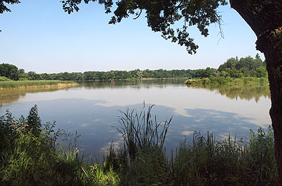 Fischweiher des Schlosses