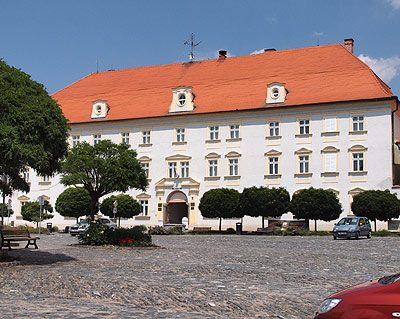 Schloss in Tyn