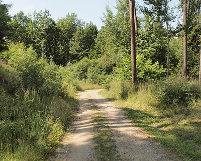 Radweg im Böhmerwald