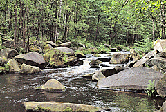Felsen in der Moldau