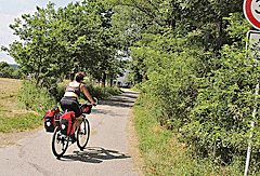 Abzweigung
