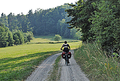 Bergauf am Waldrand