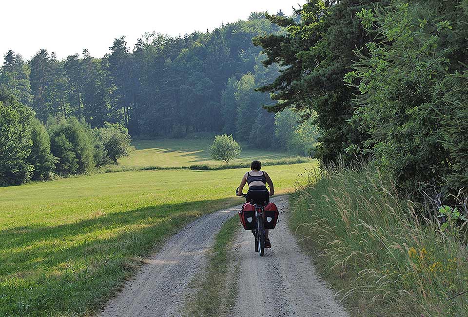 Bergauf am Waldrand