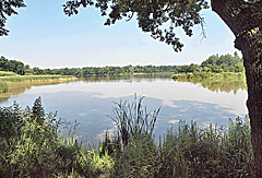 Fischweiher des Schlosses
