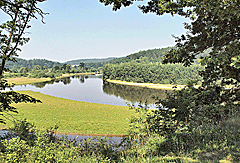 Blick auf das Moldauknie