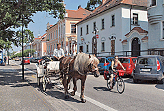Pferdekutschen in Hluboka