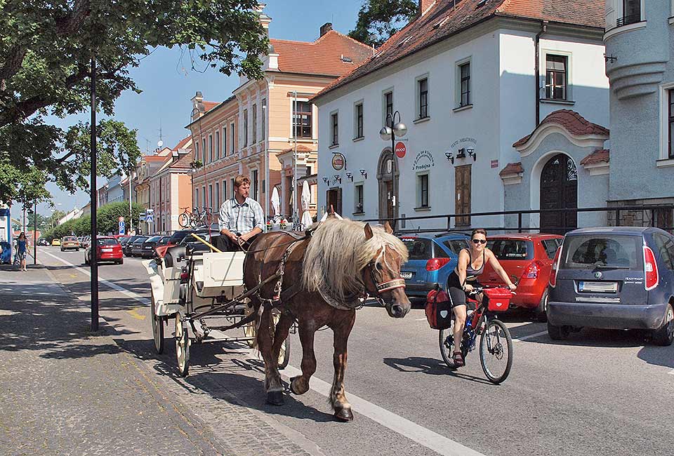 Pferdekutschen in Hluboka